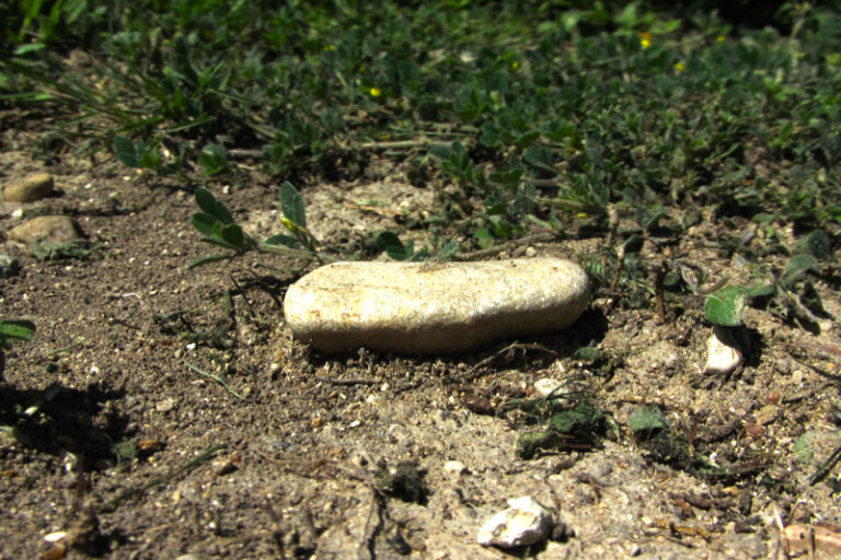 rock